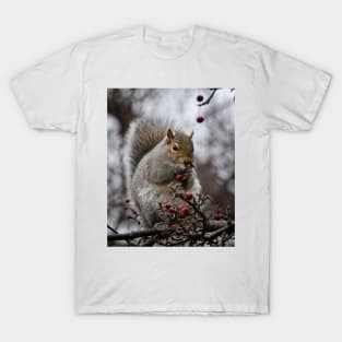 Grey Squirrel T-Shirt